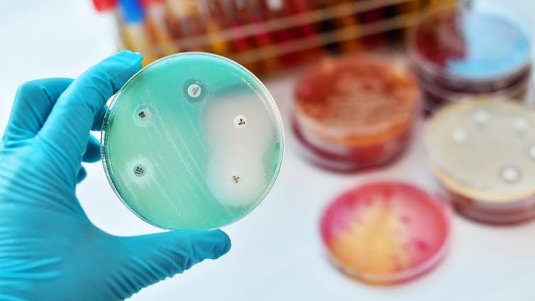 No help: Ineffective antibiotics fail to halt the spread of resistant bacteria PICTURE: JARUN ONTAKRAI/SHUTTERSTOCK