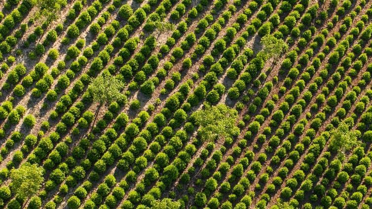 Negative emission technologies don’t exist at the scale they’re needed – and could do more ecological harm than good PICTURE: MARIUSZ SZCZYGIELD/SHUTTERSTOCK