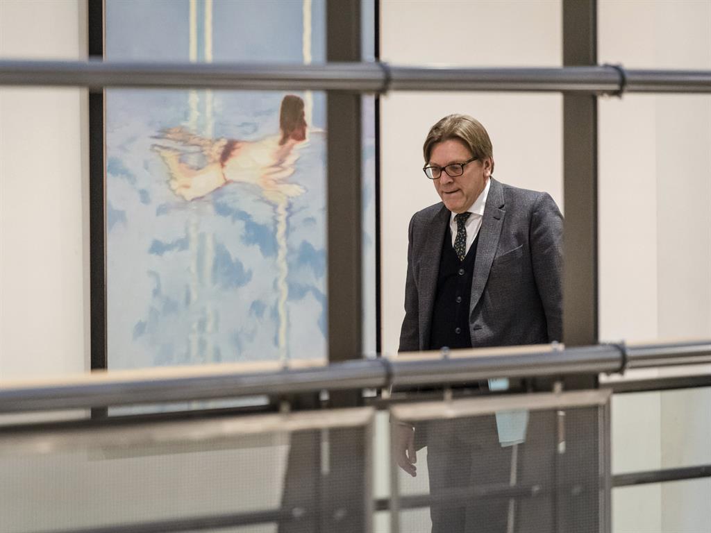 'Britain is running out of time': Guy Verhofstadt PICTURE: AP