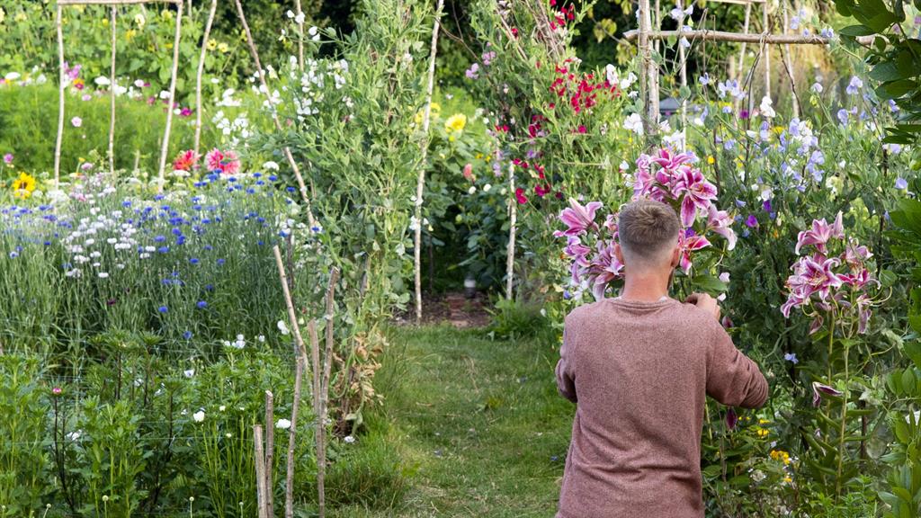 Putting in work: Tyler tends to the allotment