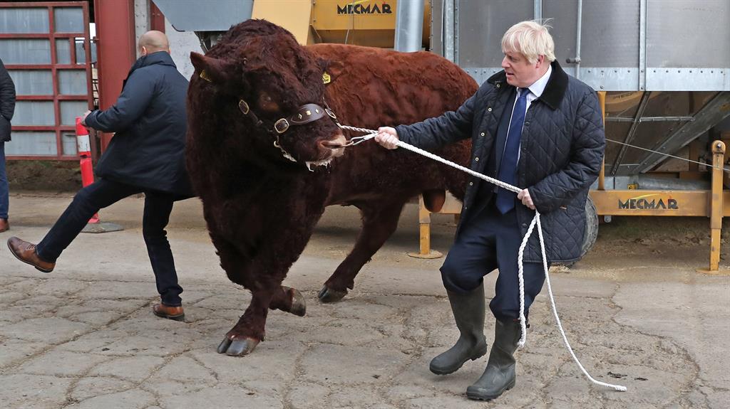 Bullish: Boris on the farm PICTURE: PA