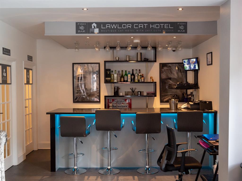 Fish bar: Tasty treats can be purchased from the bar