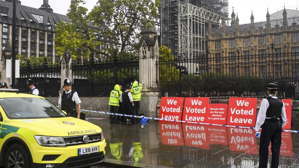'Over in a second': The shocking incident happened in front of horrified pro-Brexit protesters outside parliament PICTURE: AP