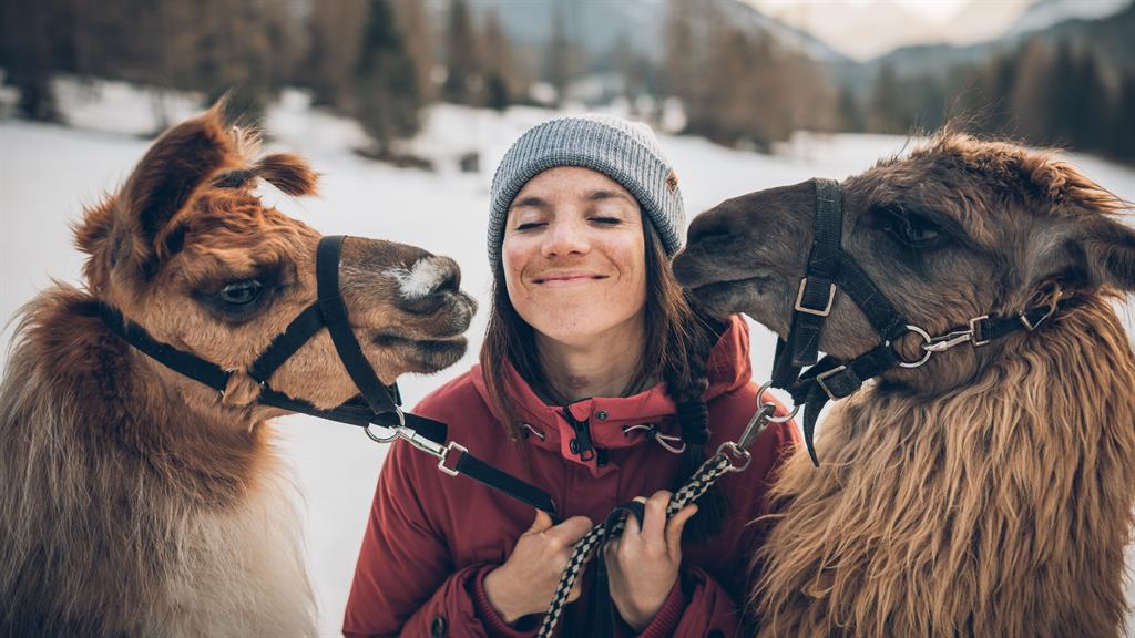 Mountain guides: Get up close and personal with these beasts on a llama hike