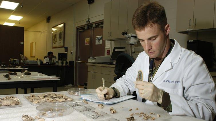 Bone to pick: A forensic odontologist studies the dental remains of someone thought to have died in a past conflict PICTURE: WIKIPEDIA