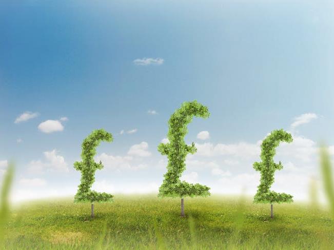 Money trees: From tiny manifestos do mighty spending promises grow