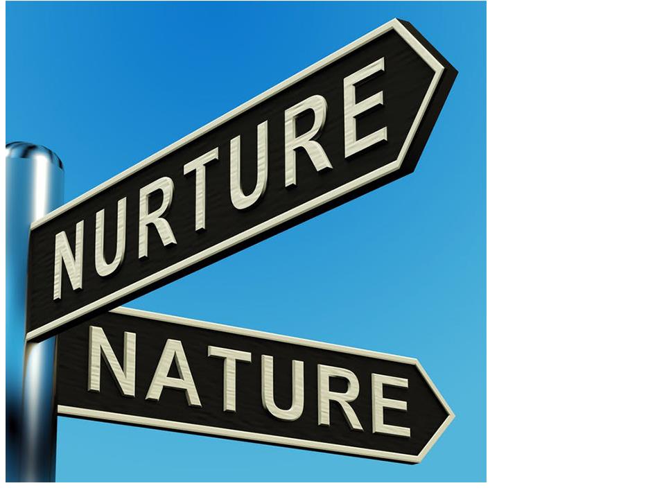 Misleading: Nature and nurture are traditionally set in opposition to each other PICTURE: STUART MILES