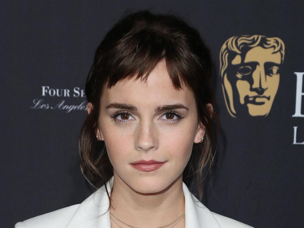 Romance? Emma Watson and Tom are close pals PICTURE: REX