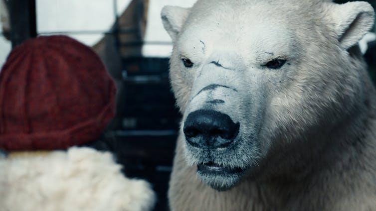 Bearing a resemblance: ‘I owe something to Norse mythology, you know'