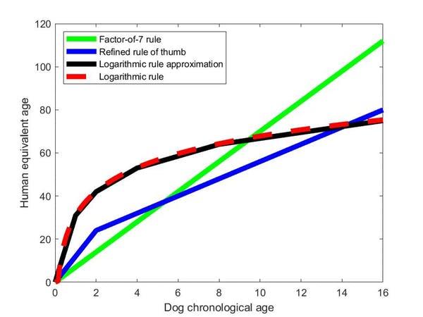 Dog days: The different ways of converting a dog’s age to the equivalent progression through a human life PICTURE: KIT YATES