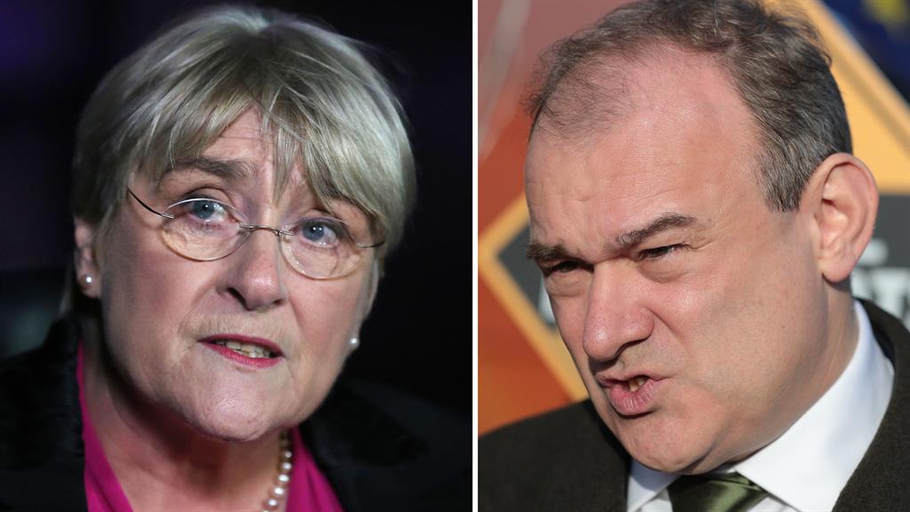 Joint acting leaders: Baroness Sal Brinton and Sir Ed Davey