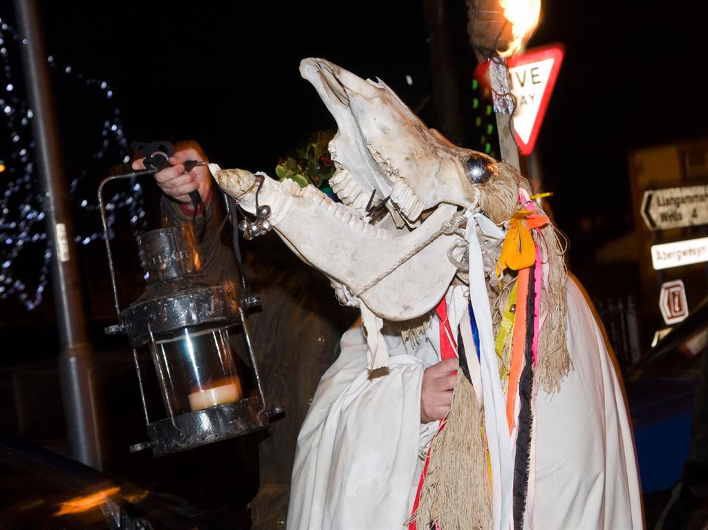 Horsing around: The Mari Lwyd tradition lives on