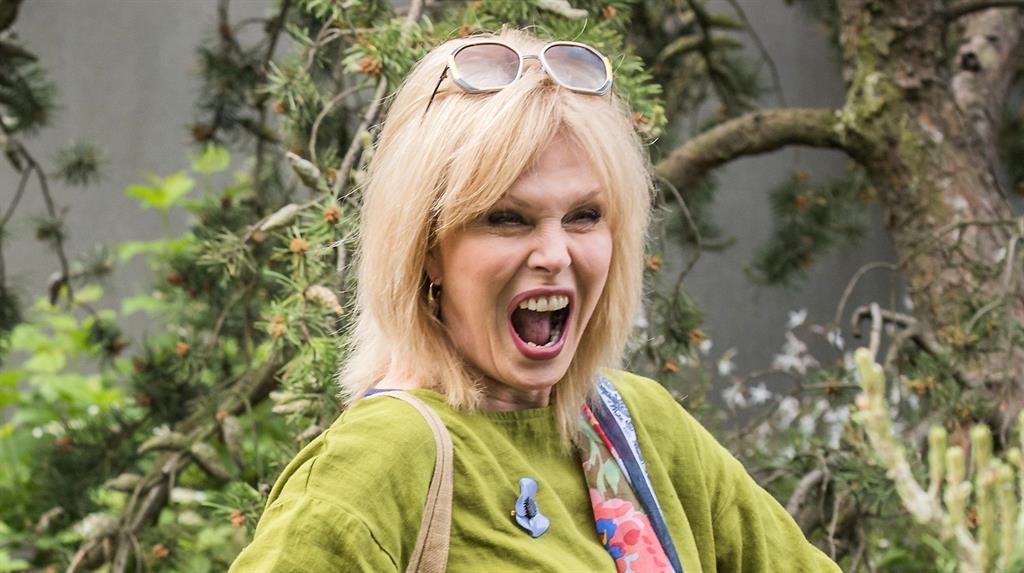 El Viaje A Japón De Joanna Lumley