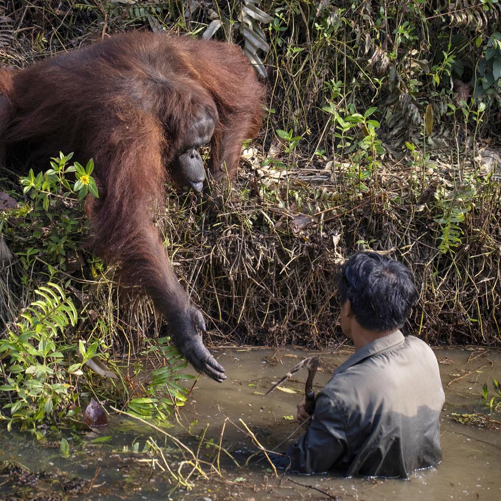 Header_2968579_1.1.jpg