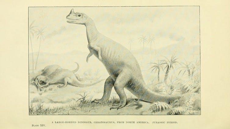 Popularised: A print from Henry Hutchinson’s Extinct Monsters PICTURE: BIODIVERSITY HERITAGE LIBRARY/FLICKR, CC BY