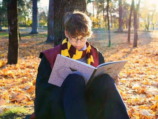 Wizarding world: Collectively, humans have spent more than an estimated 200,000 years in the world of Harry Potter PICTURE: SHUTTERSTOCK