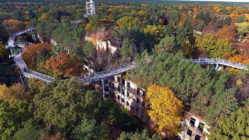 Branch out: Enjoy a treetop walk at the former sanatorium of Beelitz-Heilstätten