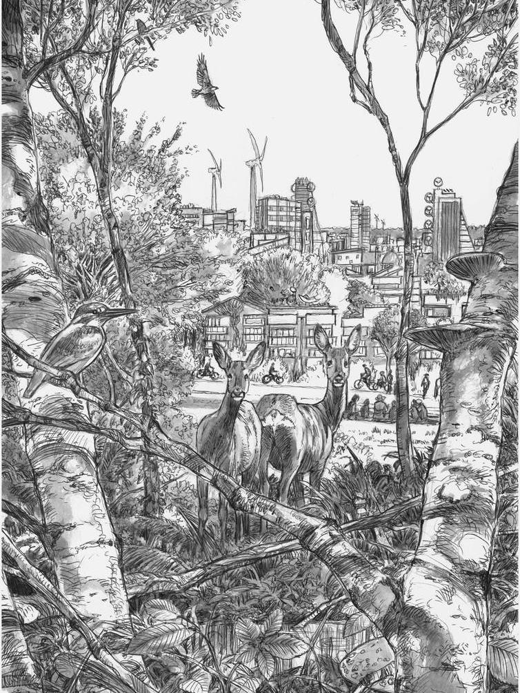 Nature city: A vision PICTURE: JAMES McKAY, AUTHOR PROVIDED