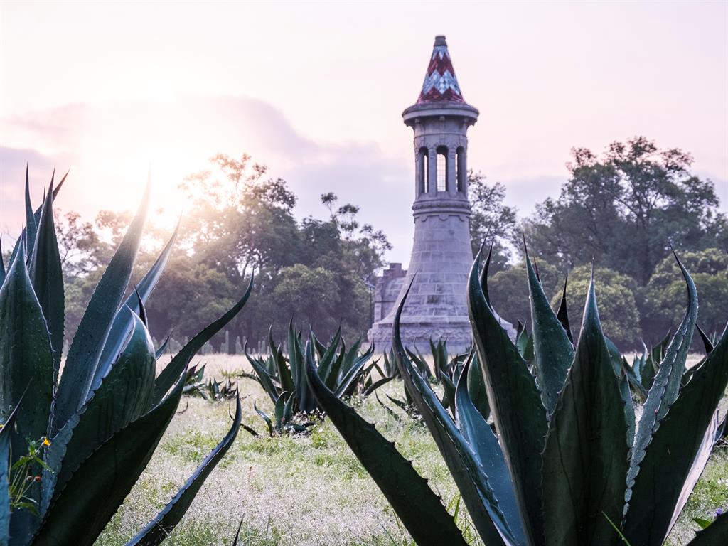 Explore: Chapultepec Forest is a sanctuary in hectic Mexico City