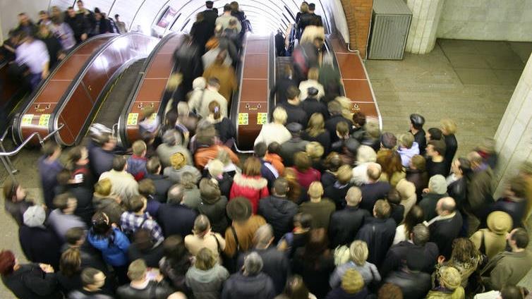 Jostling for position: Nobody misses this PICTURE: SHUTTERSTOCK