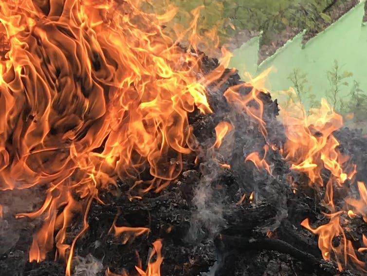 Confiscated: The bushmeat fire in Liberia PICTURE: BEN GARROD, AUTHOR PROVIDED