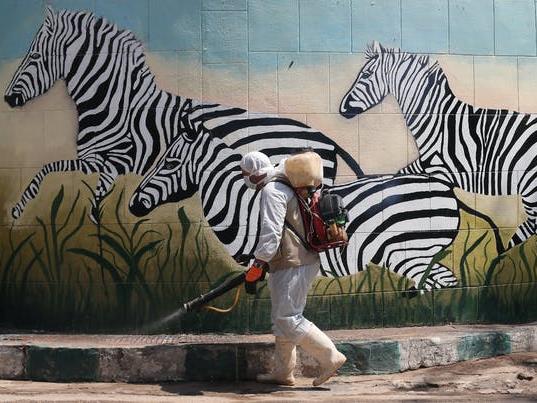 Deep clean: A worker disinfects Giza Zoo in Egypt PICTURE: EPA-EFE/KHALED ELFIQI