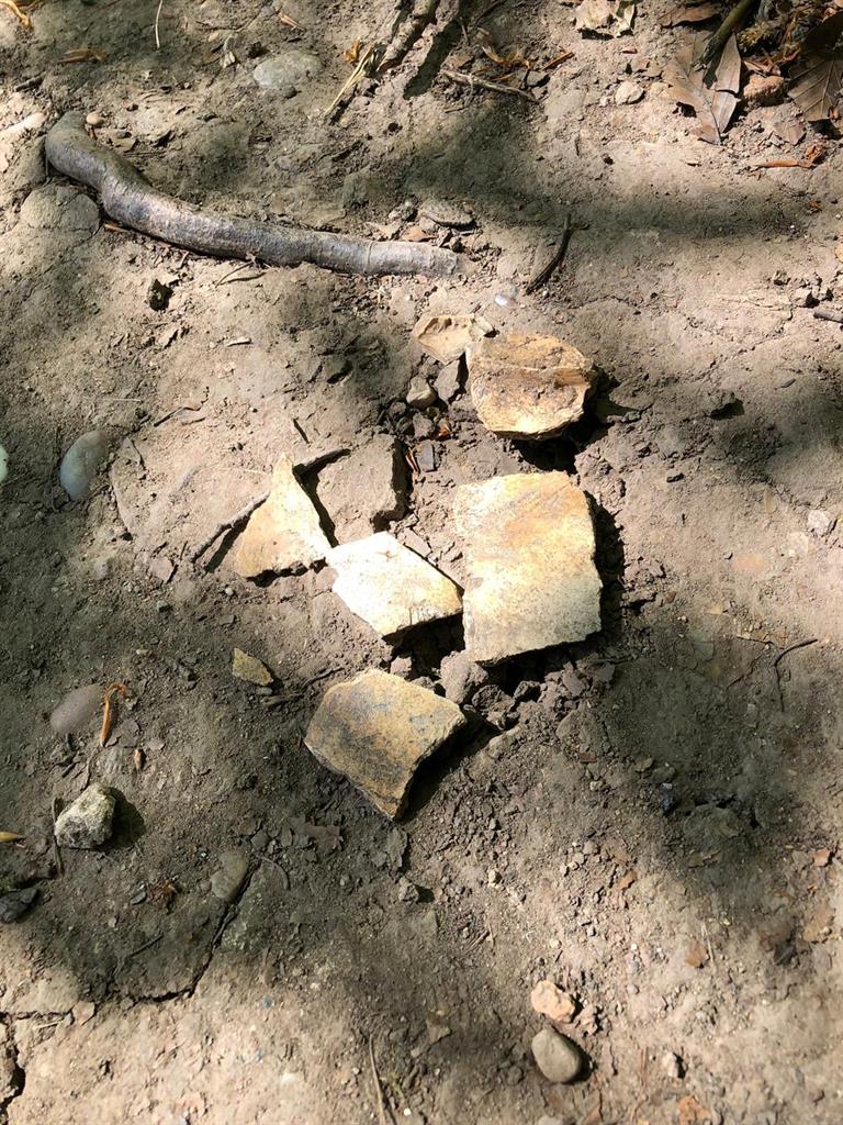 Skull: Police dashed to the site after Charlie made the grisly discovery PICTURES: SWNS