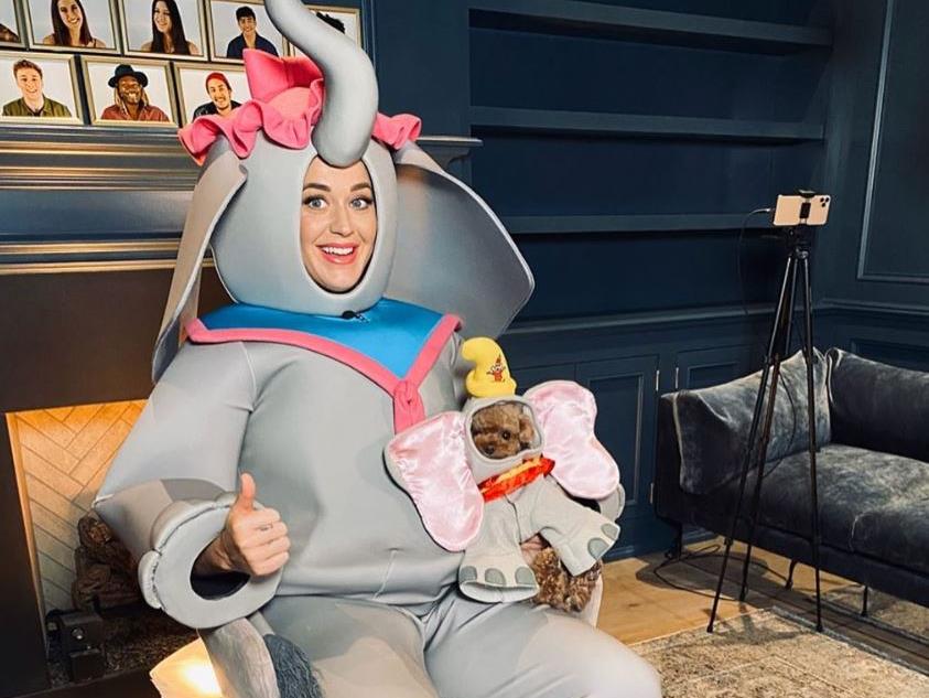 One el of a photo: Katy with one of the couple's pet pooches PICTURES: INSTAGRAM