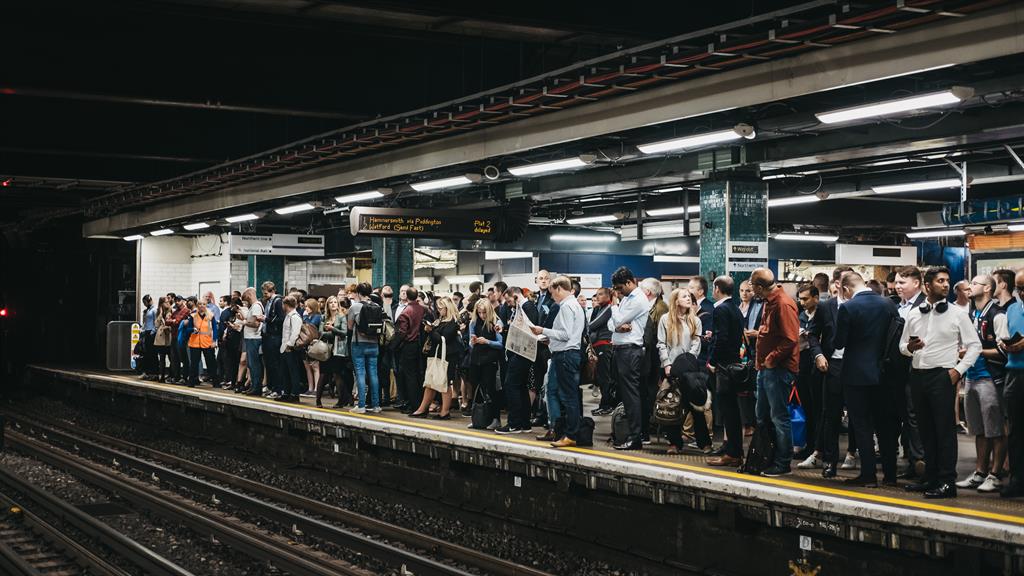 Nobody misses this PICTURE: ALENA VEASEY/SHUTTERSTOCK