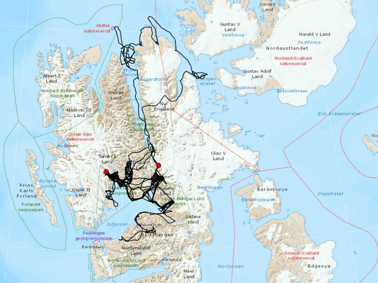 Wanderlust: Misha’s GPS wanderings 2017-18 PICTURE: © JON AARS, NORWEGIAN POLAR INSTITUTE, AUTHOR PROVIDED (NO REUSE)