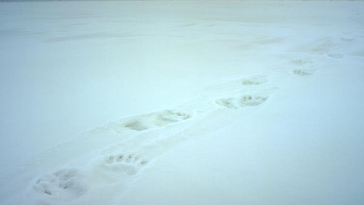 Snowscape: Only prints PICTURE: © HENRY ANDERSON ELLIOTT, AUTHOR PROVIDED