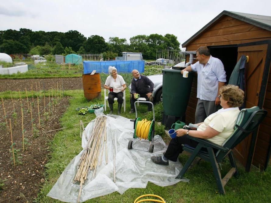 Good green fun: Combining nature with meaningful activity, as in allotment gardening, can be particularly effective PICTURE: CHRIS ISON/PA