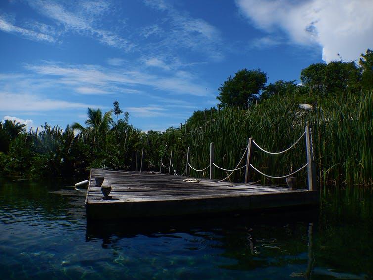 Sensitive environments: Rewilding the coast would provide new wetland habitat for threatened species PICTURE: LARA DANIELLE/FLICKR, CC BY