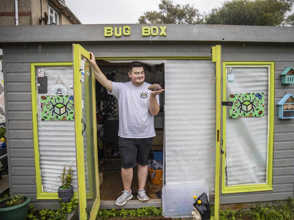 All boxed in: Cameron works out of this shed in his family's garden PICTURES: SWNS