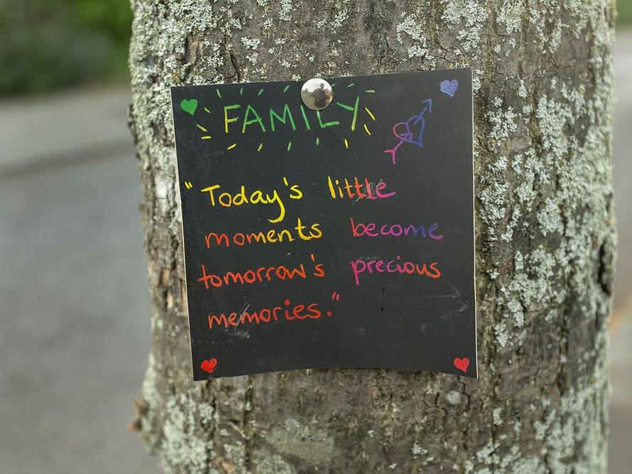Message: An affirmation pinned to a tree PICTURE: ANDREW ROBINSON