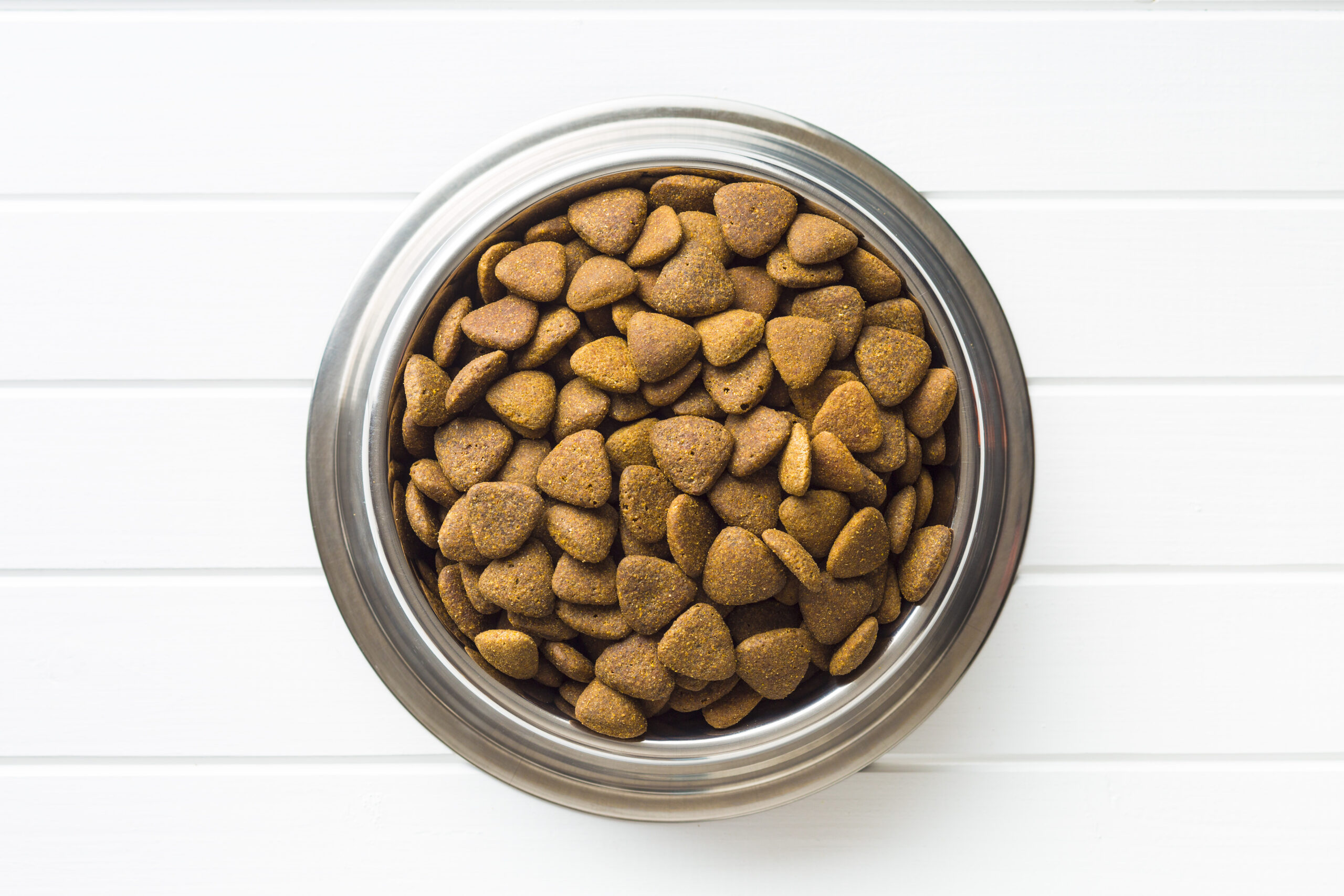 Keto for Pets - kibble in a dog bowl