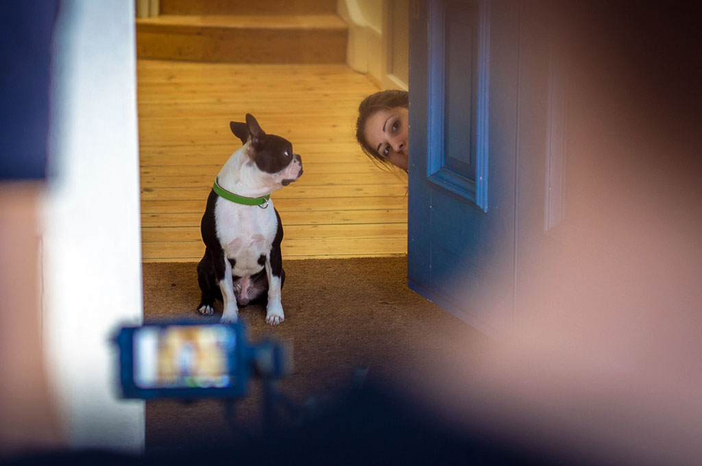 Bow the dog in doorway