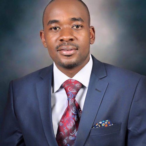 Chamisa launches new battle of Chinhoyi