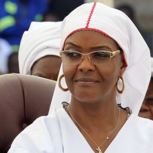 How Grace Mugabe poaching claims benefit President Mnangagwa