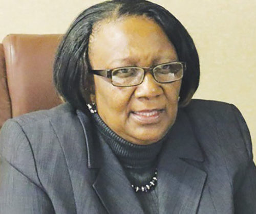 Zim launches mobile application travel guide