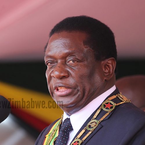 MDC MP arrested for calling Mnangagwa a dog; case reported by 89-year-old villager angry at being insulted for voting Zanu PF