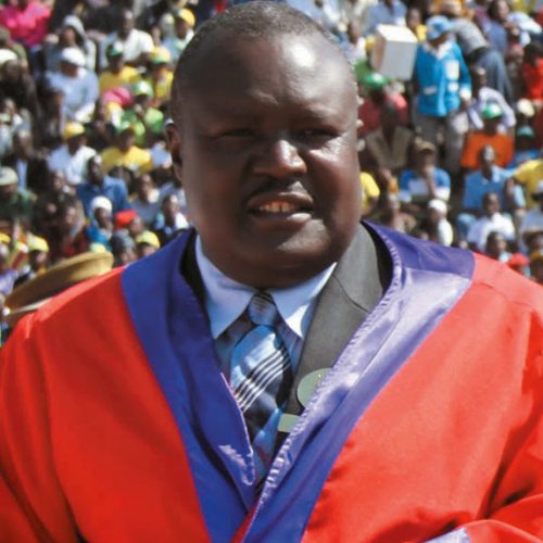 We are Zanu PF, says Chiefs Council leader as he rubbishes court judgement