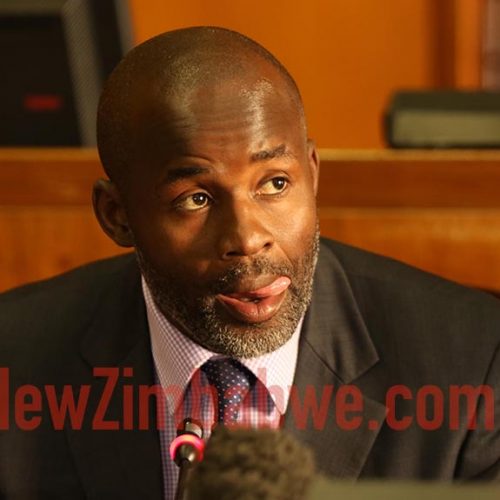 Mliswa: Zim Parly an old peoples’ home