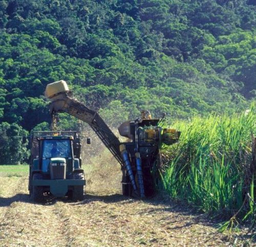 Tongaat Hullets’ Kilimanjaro Project Nears Completion