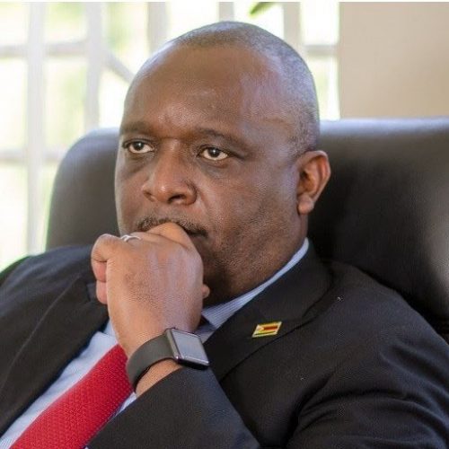 Manyika urges ED to dump tour, come and deal with unrest