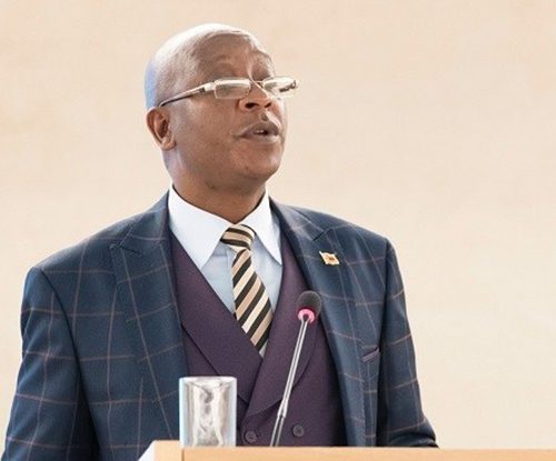 Ziyambi chides ‘childish’ MDC MPs over parly ‘tomfoolery’