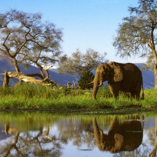 UK tour operator makes Zimbabwe return after 12 years; targets Mana Pools