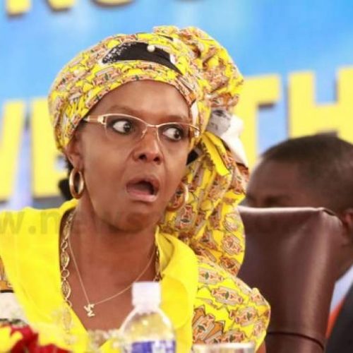 Grace Mugabe challenges truck grab case