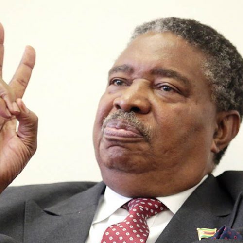 Ex-VP Mphoko’s son brought to court in leg irons, to spend Christmas in jail
