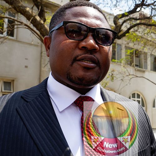 Mutodi sued over RTGS$40 000 debt